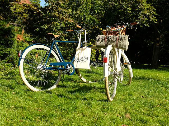 Pashley bike size guide shop