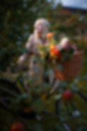 Ordsall Hall Apple Orchard3.jpg