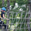 Thumbnail: Sai Yuen Ticket and Adventure Experience