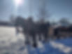 image00002.jpeg