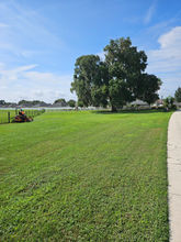 Expansive green lawn, large tree, waterfront homes, clear blue sky.