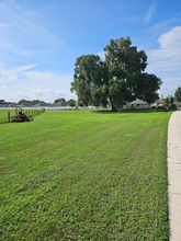 precision mowed grass