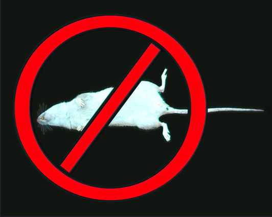 Dead rat in red prohibitory sign. Suitable as an emblem for poisons for rodents..jpg