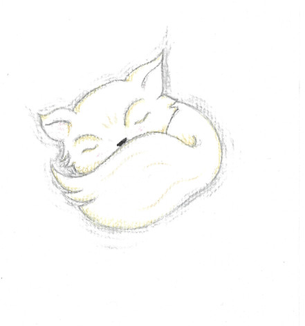 Petit renard blanc endormi