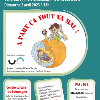 Affiche pour la troupe de théâtre les "Bénévol'art" pour la pièce "A part ça tout va mal !" de Leriche Gilbert-Claude
© Virginie Metzer 2022