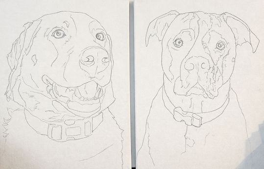 Brook will take your photo and create a line sketch for you prior to the class. You can focus on painting--not drawing!