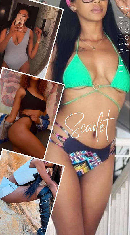 WhatsApp Image 2025-12-08 at 17.10.51 (2).jpeg