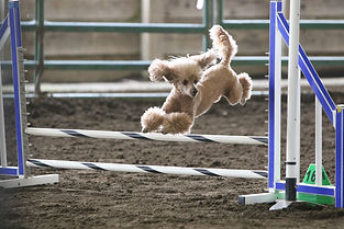 2-18-23 County Wide-1990.jpg