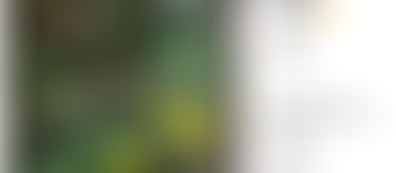 Progress Report 30-June-2024