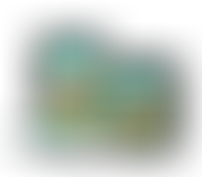 Introducing Going to the Festival