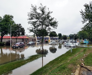 When a natural disaster hits, how does a small business recover?