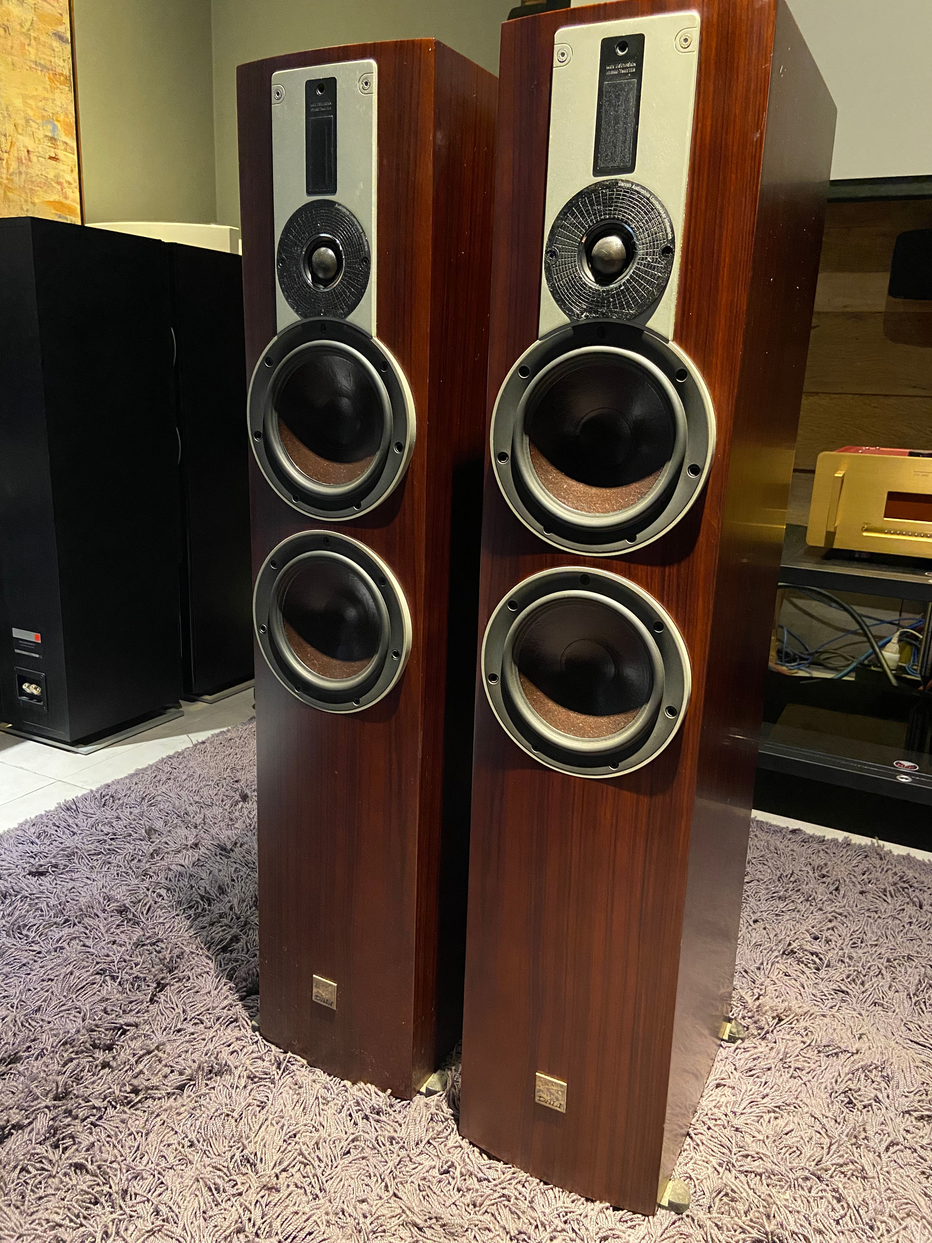 Caixas DALI Rubicon 6