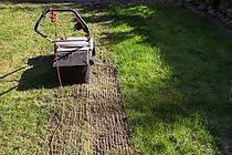 dethatching.jpeg