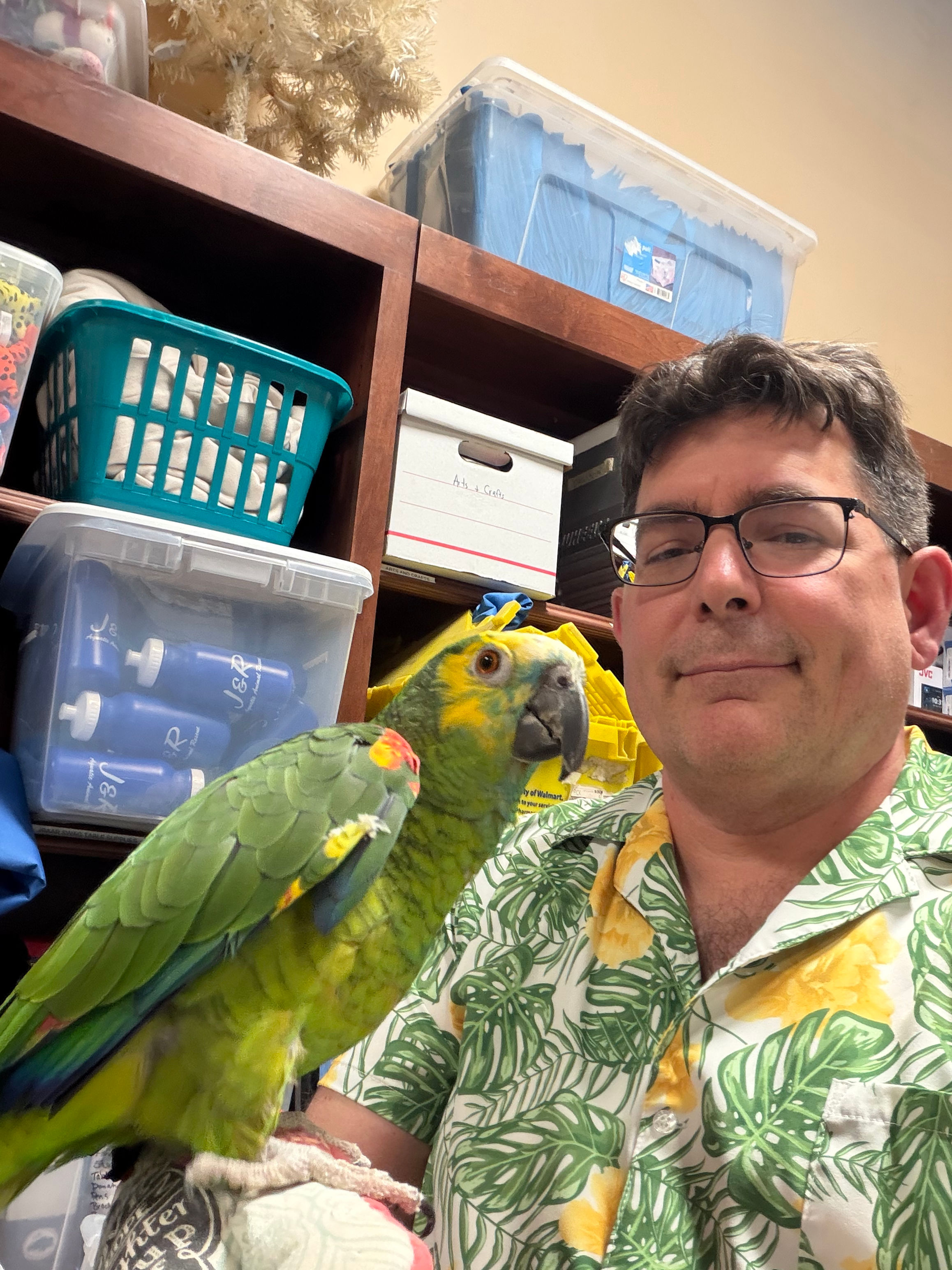 Barney the Amazon Parrot 