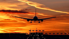 Life After Cabin Crew Job