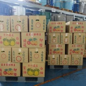 Support Taiwan's agricultural products - Tangerine