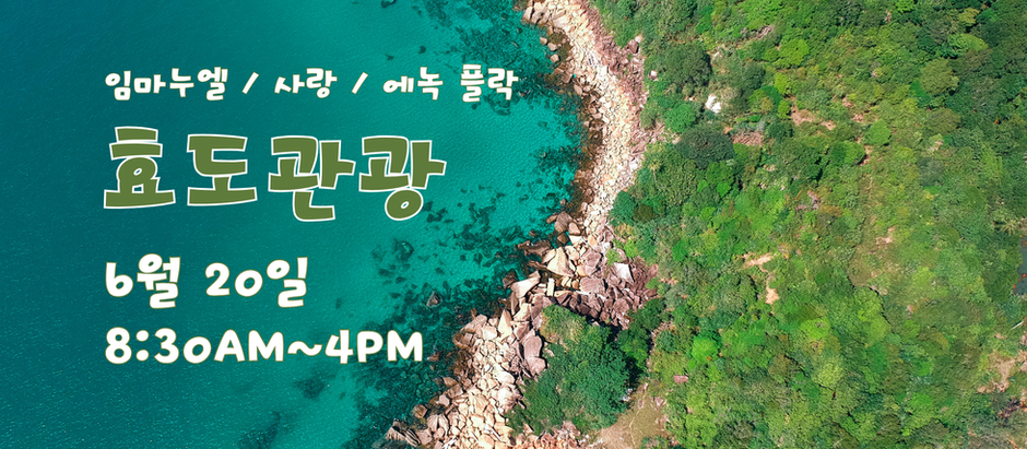 2026 효도 관광