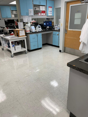 Buffing-Floor-MBFLOORSOLUTIONS-Miami-011
