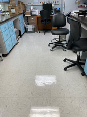 Stripping and waxing floor - MB FLOOR SOLUTIONS