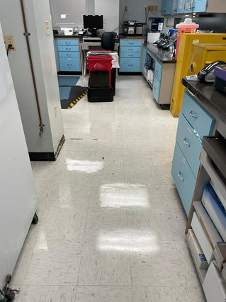 Stripping and waxing floor - MB FLOOR SOLUTIONS