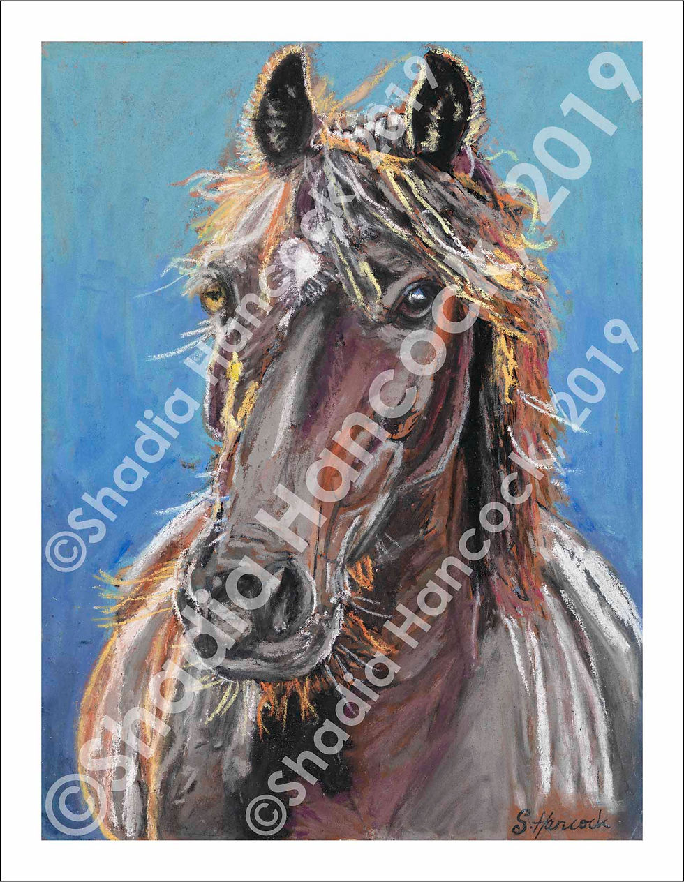 Thumbnail: A4 Fine Art Prints