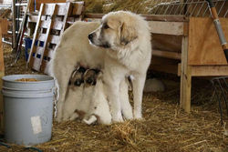 20170130_013045000_iOS