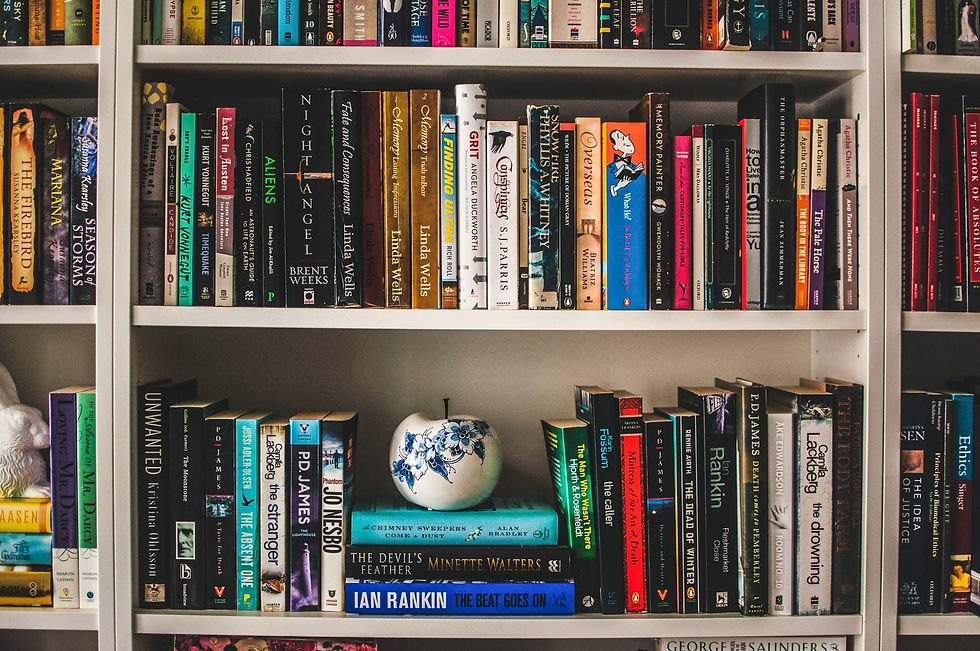 An example of how to decorate your bookshelves by turning some books on their side.