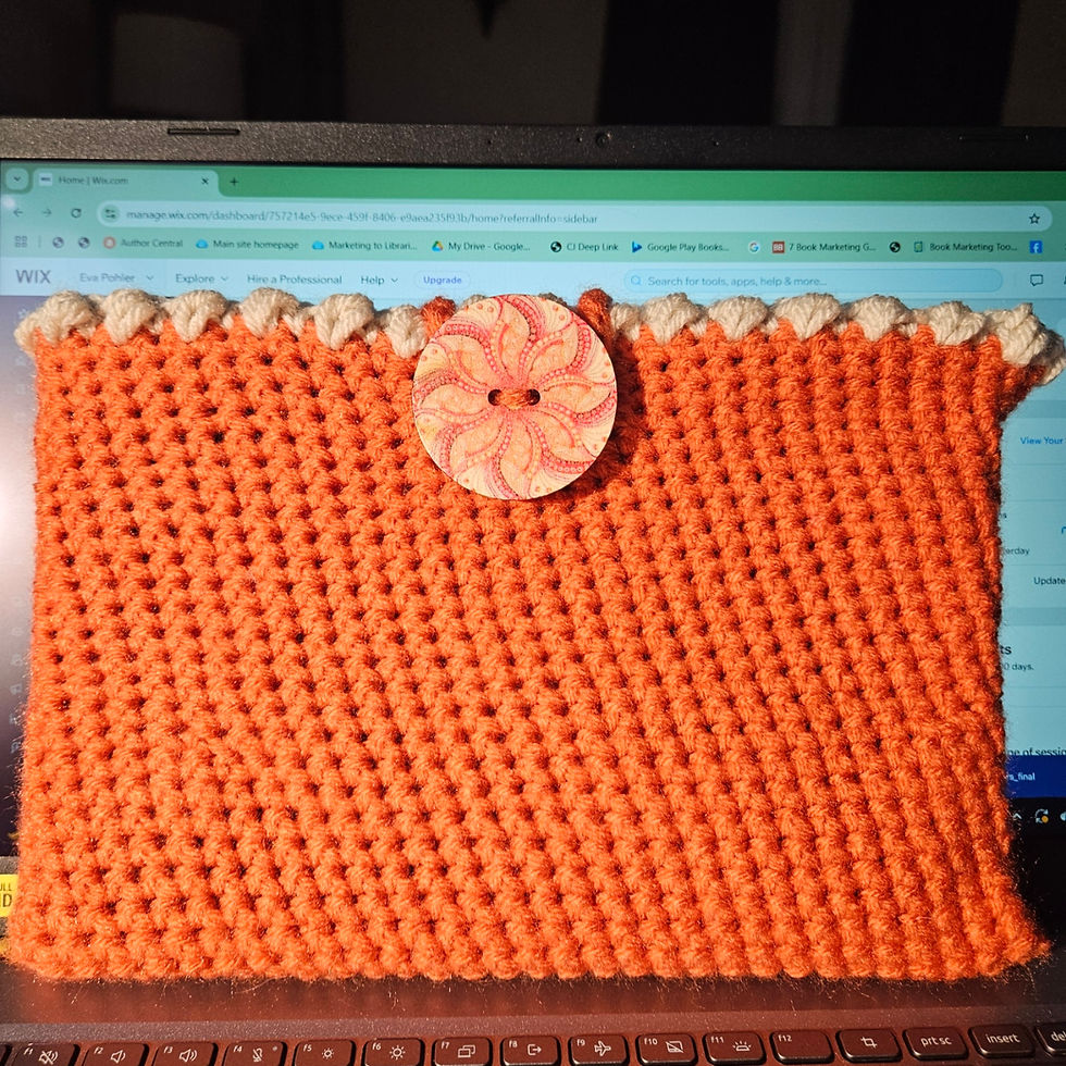 Thumbnail: Crocheted Book Sleeve