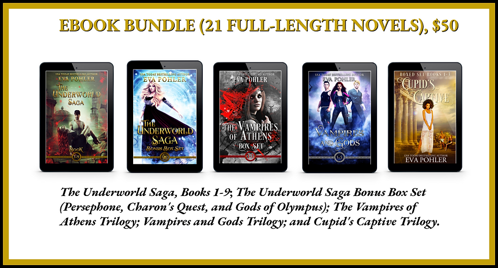 The ebook bundle.