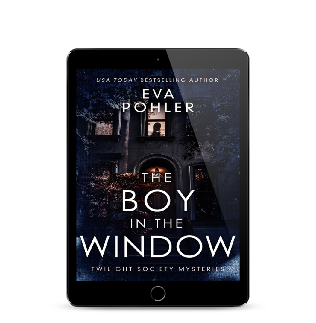 The Boy in the Window eBook