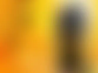 shani dev aarti marathi