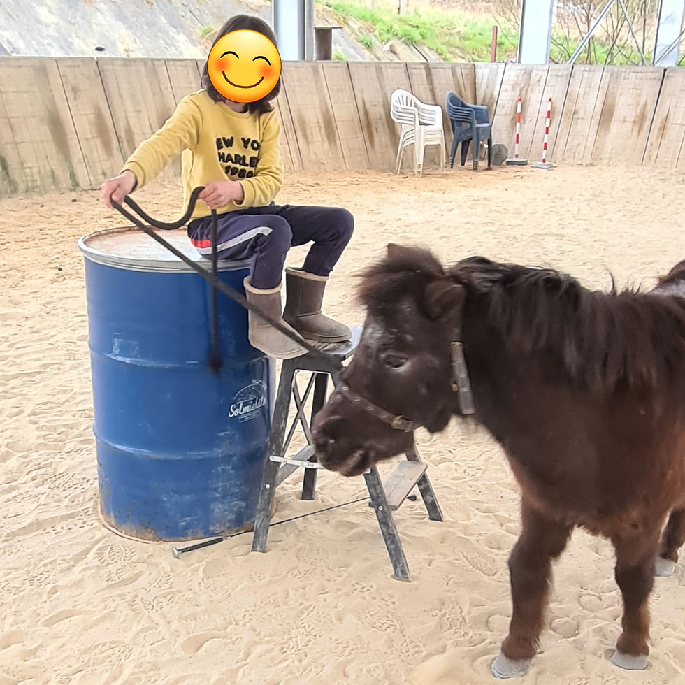 Hippothérapie médiation animale élèves dys coaching scolaire