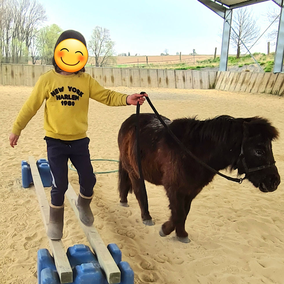 Hippothérapie médiation animale élèves dys coaching scolaire aide