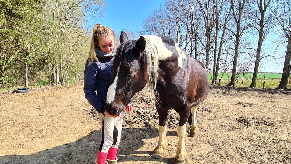 Alter ego médiation animale coaching scolaire enfant dys dyspraxie TDAh aide_edited.jpg