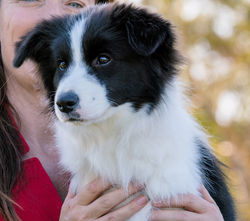 Lucy HeadShot2