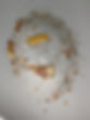 PXL_20231113_195307559.NIGHT.jpg