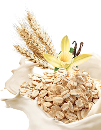 oat_wheat.png