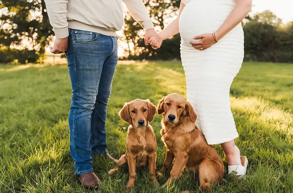 Westhouse_Family_Optimised.webp