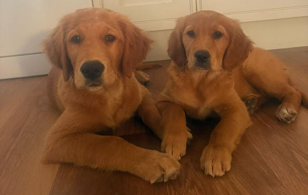 Duke And Iris Kitchen_edited.jpg