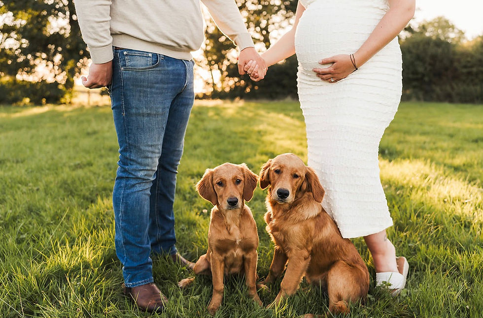 Family photo with two retrievers