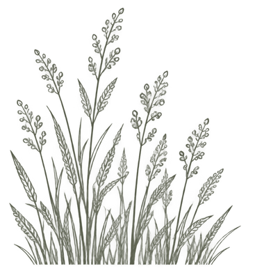 Decorative botanical corner illustration