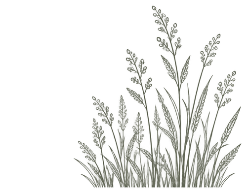 Decorative botanical corner illustration