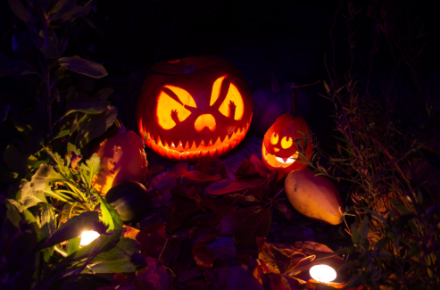 Halloween party decorations.