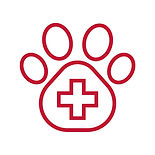 RRC services-12.jpg