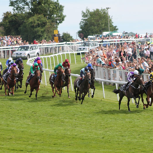 2014_Epsom_Derby.jpg