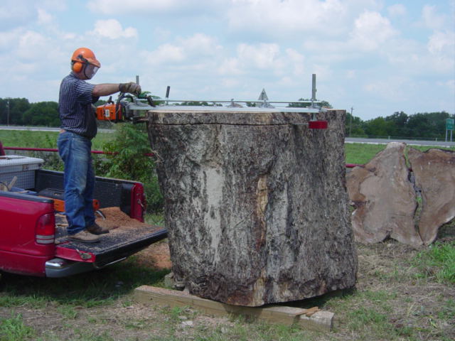Pecan firom Little River1836.JPG