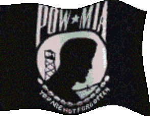 294_powflag1.gif