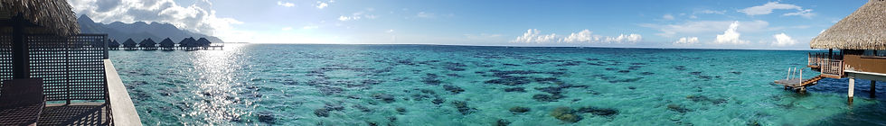 20201117_161046.jpg