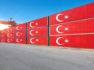Kobiler için stratejik fırsat penceresi