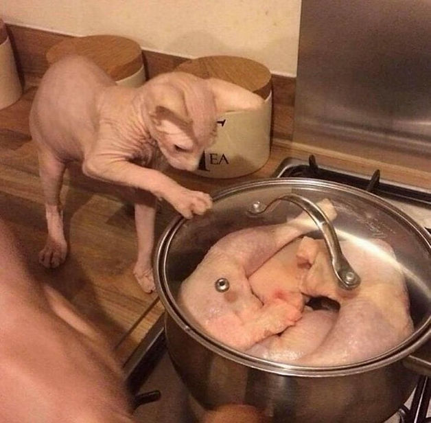 ree